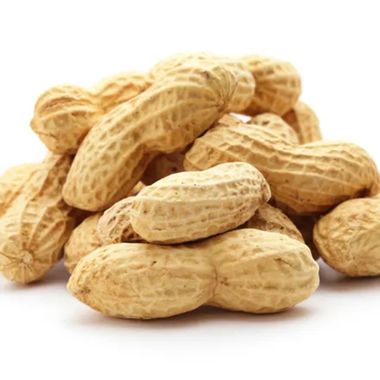 Arachides grillées