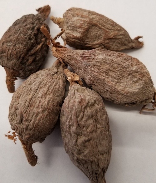 Ndong ou piment de Guinée