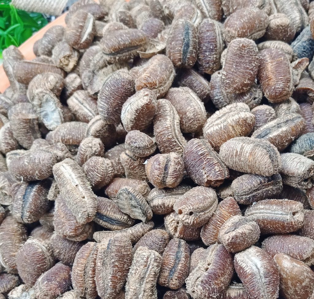 Pèbè nettoyé