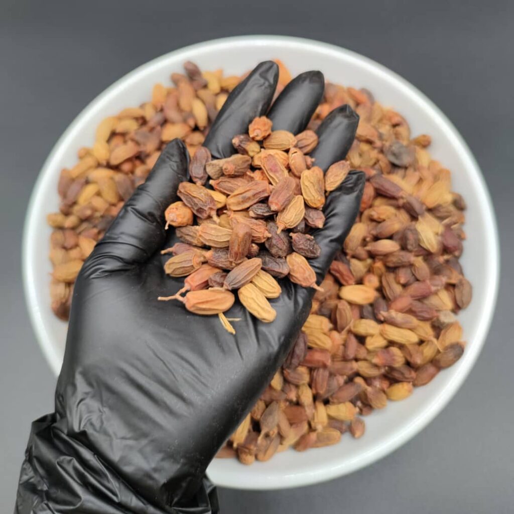 Graines de neem