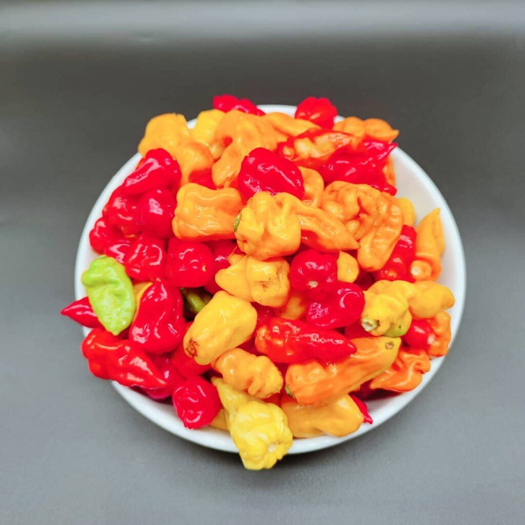 Piment frais