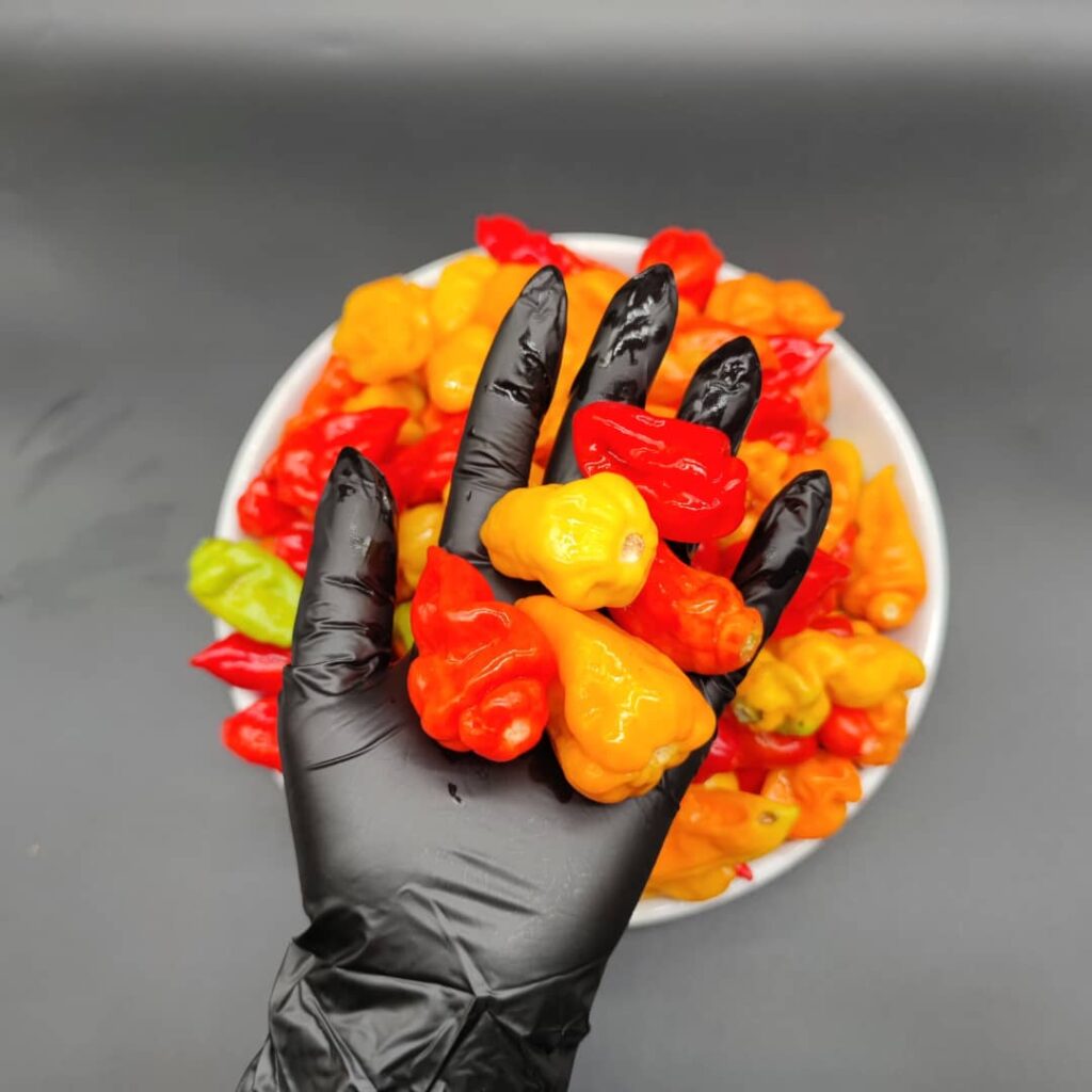 Piment frais