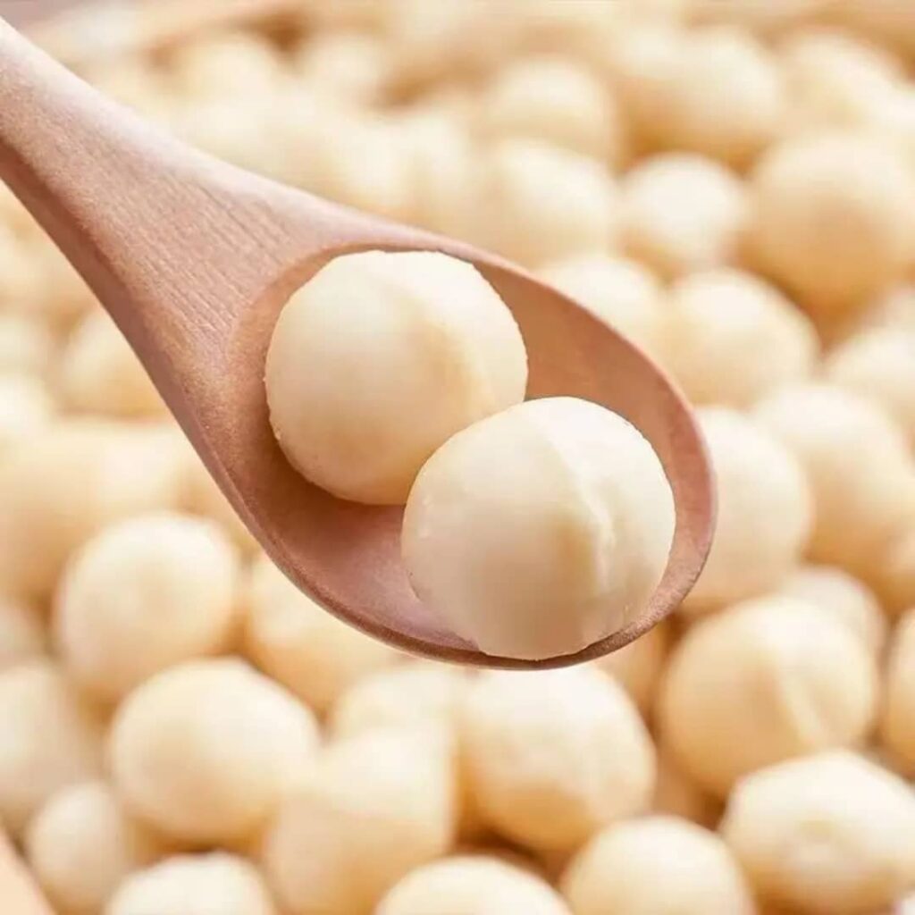 Noix de macadamia