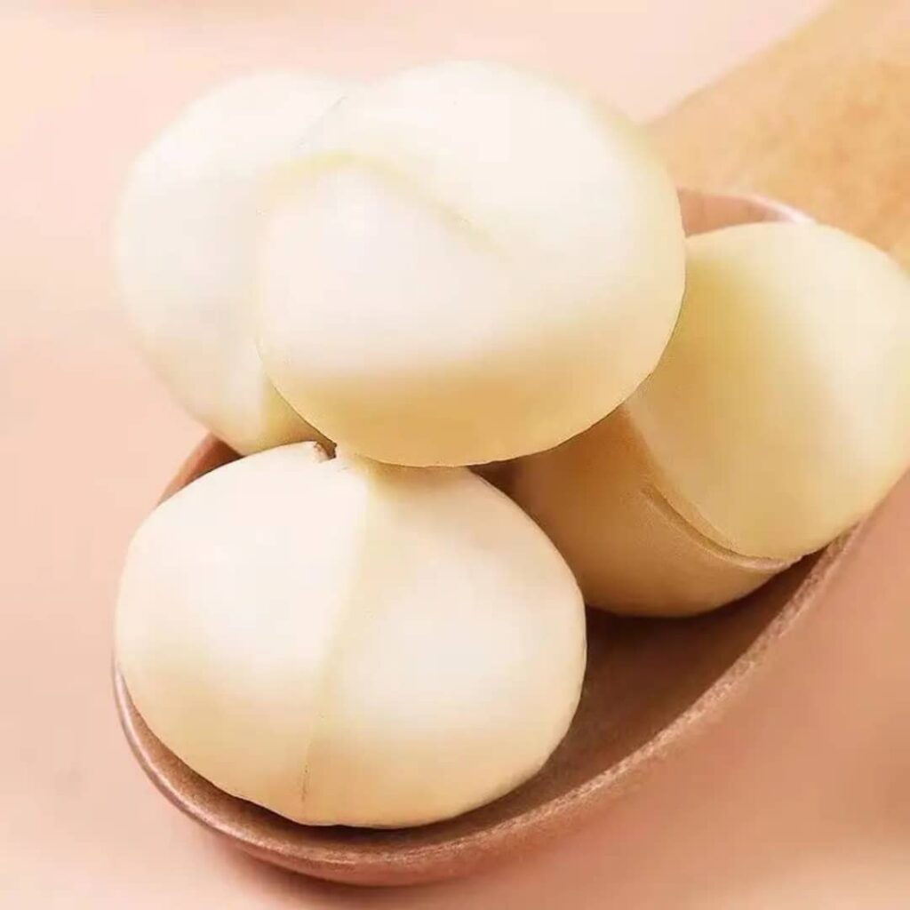 Noix de macadamia