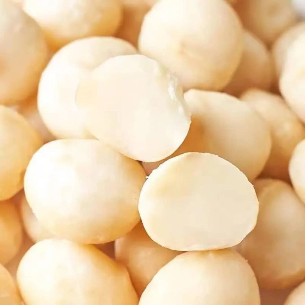 Noix de macadamia