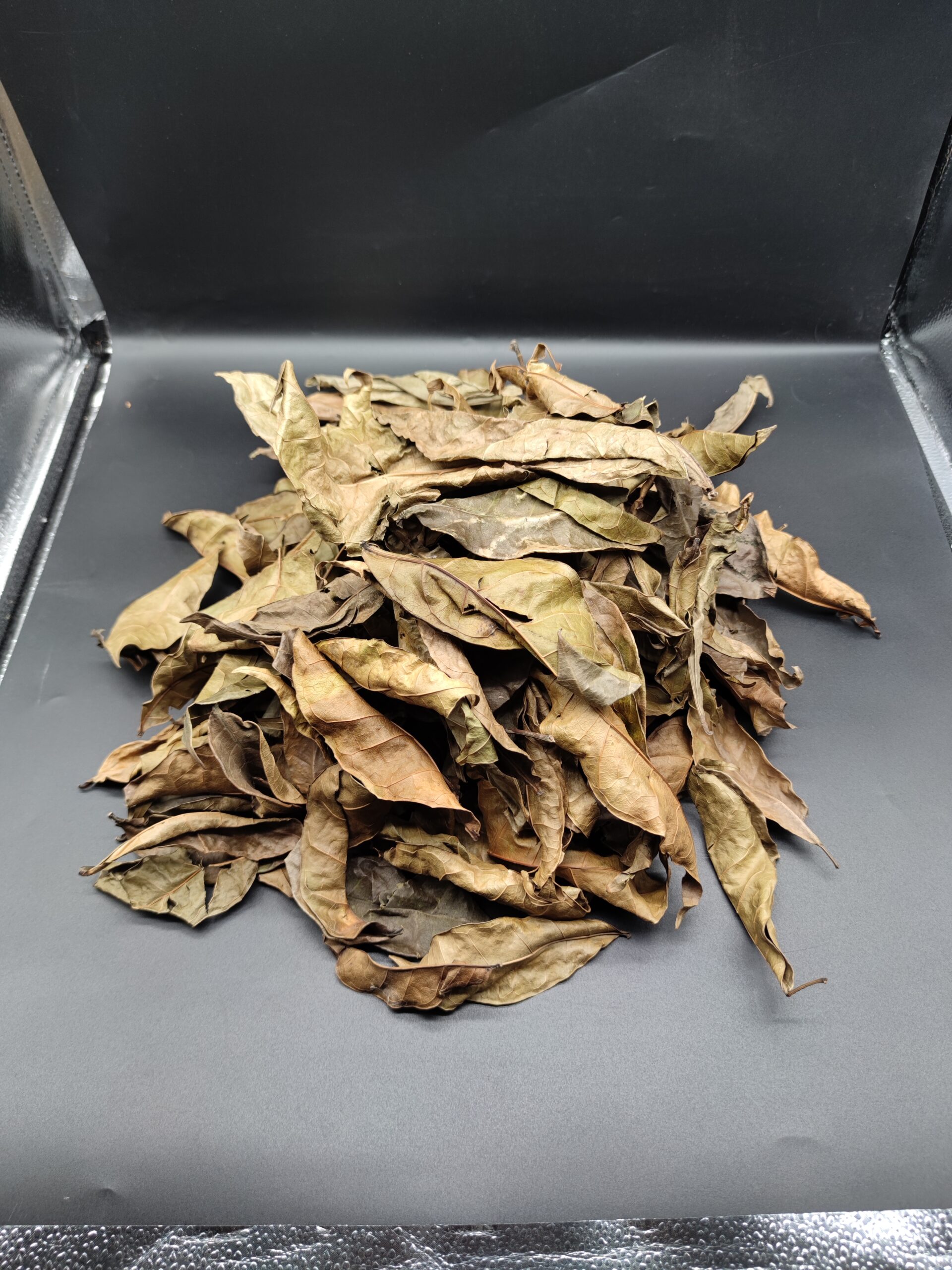 Feuilles séchées d’hysope