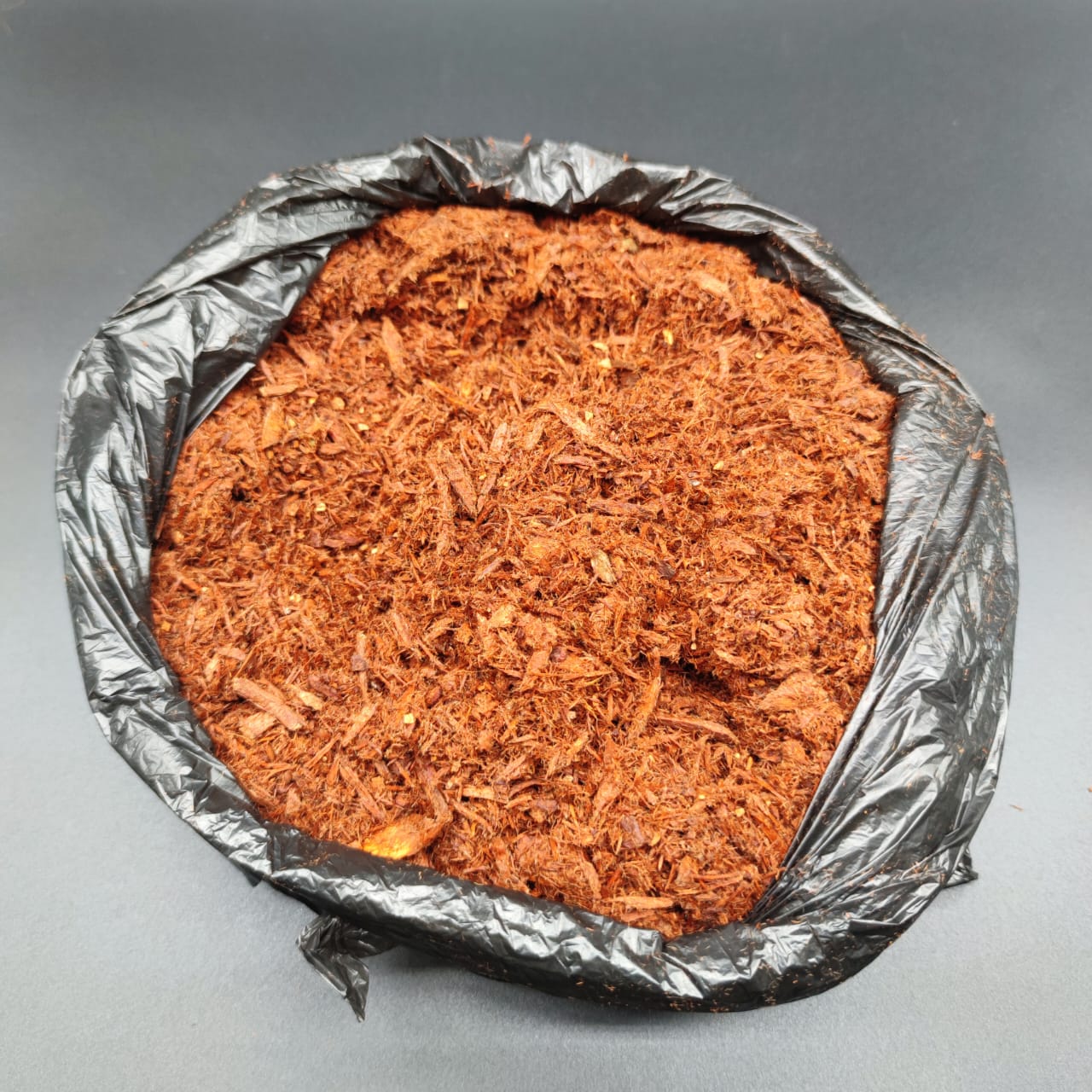 Ecorce bois bandé – Image 2